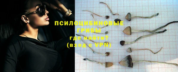 мет Богданович