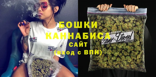 ПСИЛОЦИБИНОВЫЕ ГРИБЫ Бородино