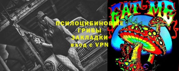 мет Богданович