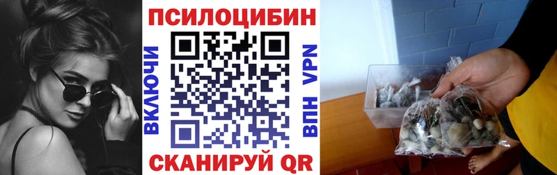 как найти   Бирюсинск  Псилоцибиновые грибы мицелий 